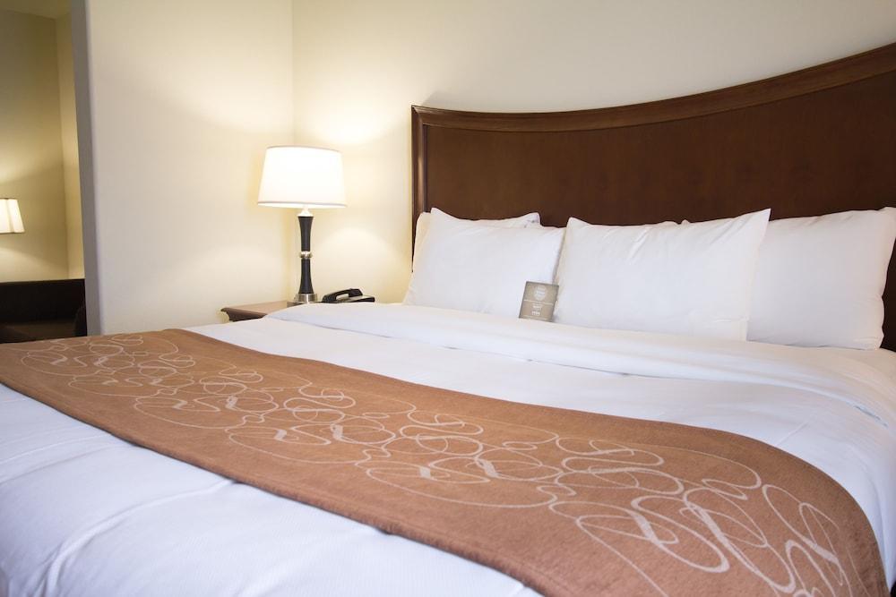 Comfort Suites San Antonio North - Stone Oak Εξωτερικό φωτογραφία