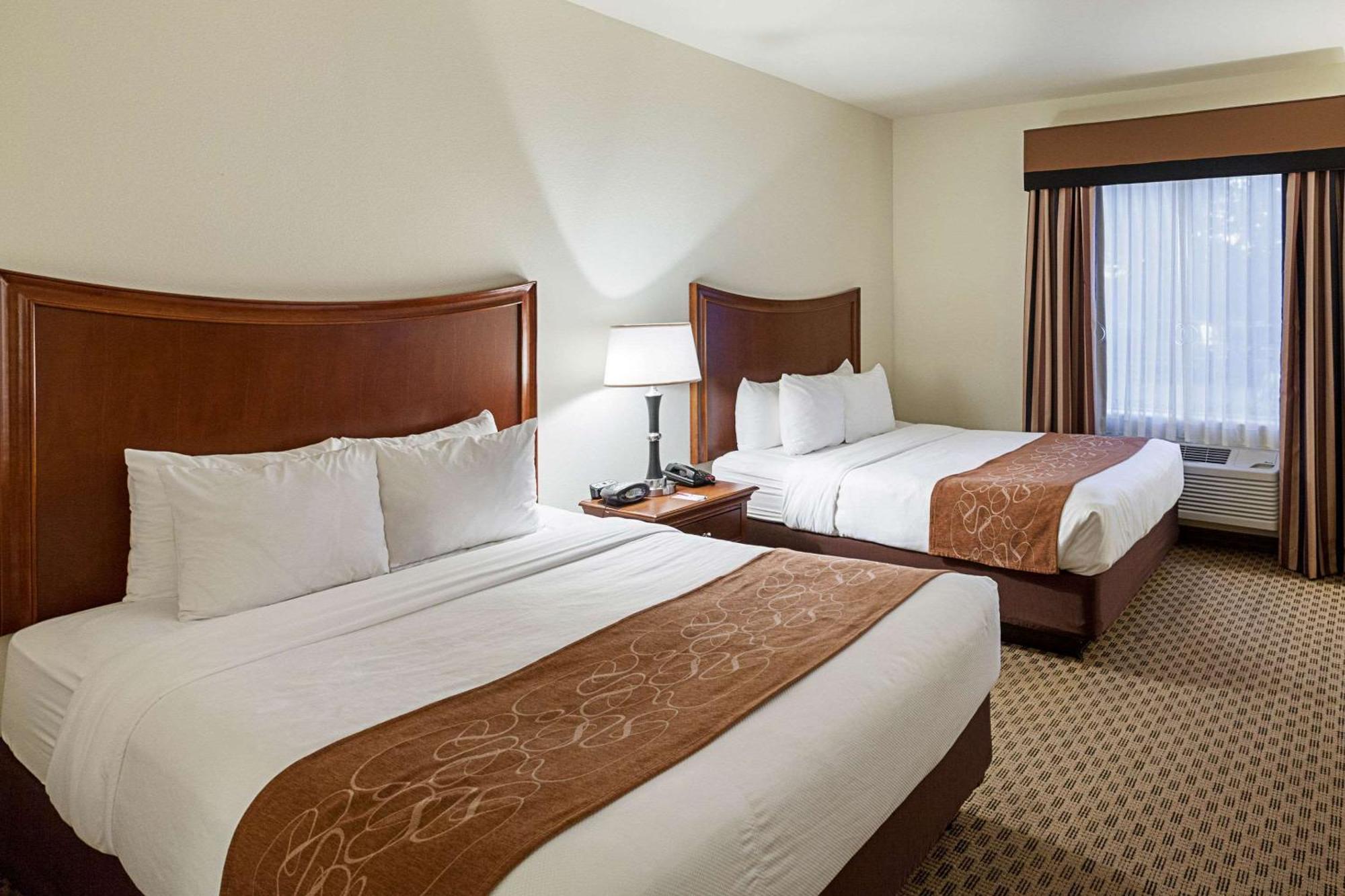 Comfort Suites San Antonio North - Stone Oak Εξωτερικό φωτογραφία