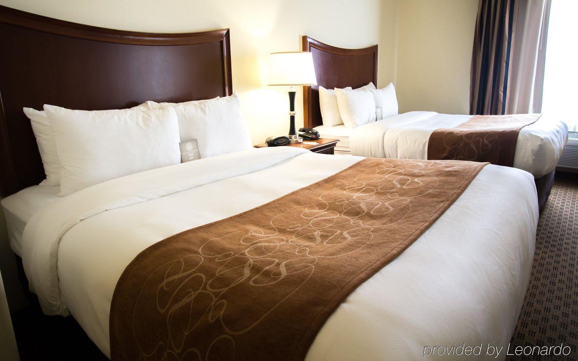 Comfort Suites San Antonio North - Stone Oak Εξωτερικό φωτογραφία