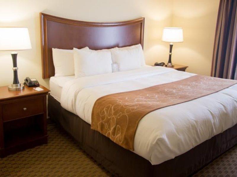 Comfort Suites San Antonio North - Stone Oak Εξωτερικό φωτογραφία
